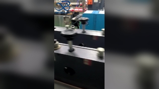 Bedruckter Zip-Lock-Beutel mit individuellem Markenlogo, auslaufsicherer Packbeutel