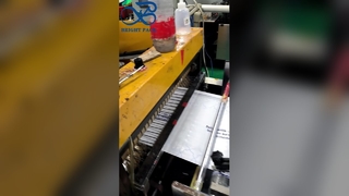 Individuell bedruckte, mattierte Pergaminbeutel, personalisiertes Logo, recycelbare Geschenktüte