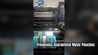 Bedruckter Mylar-Beutel, luftdichter, wiederverschließbarer Aufbewahrungsbeutel in Lebensmittelqualität